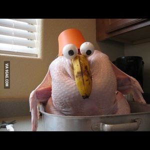 Meet your Posher, Isaac